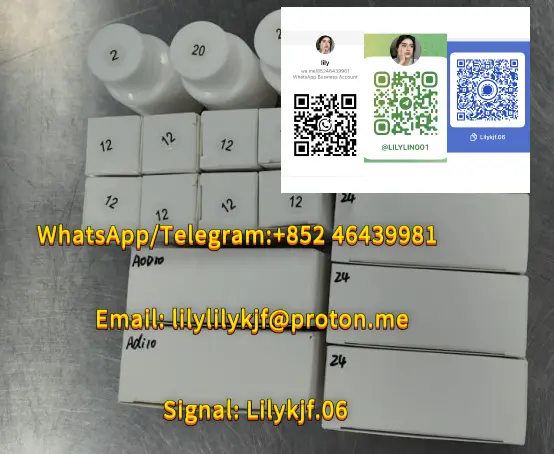 01200444-e300-4190-9015-50ca9ca5c0c1.webp