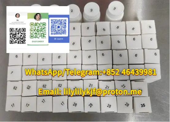 01ba6435-8393-482e-8.webp