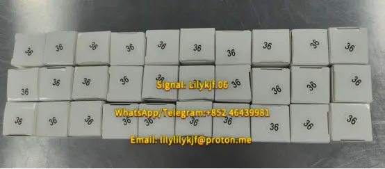238c510a-49c0-457d-b4ef-5846c7ec6604.webp