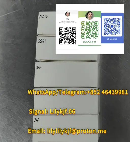 5764fef3-59e9-4b55-83fe-26d4b36ee0b3.webp