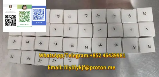 645d1ce4-7632-436d-a.webp