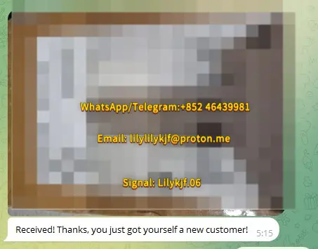e041b7ae-b2a7-4199-959d-b613d21aa1b7.webp