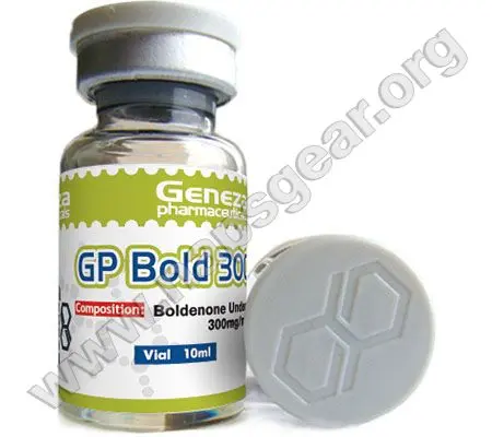 gp_bold300.webp