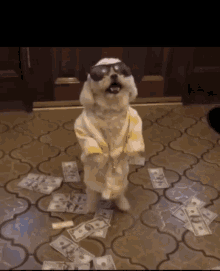 IMG_6713.gif