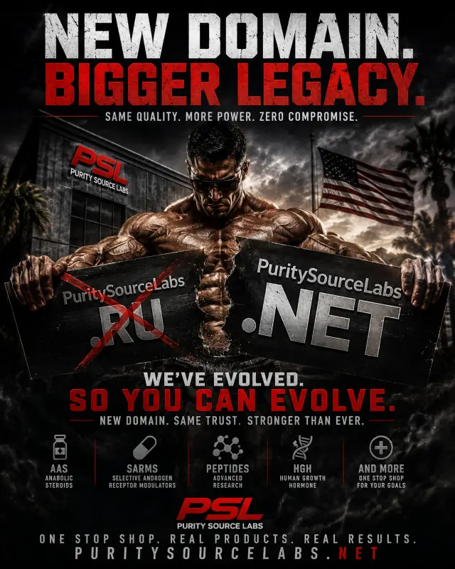 net.webp
